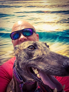 greyhound.jpeg