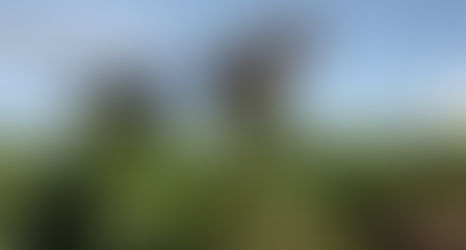 Humboldt goes big time