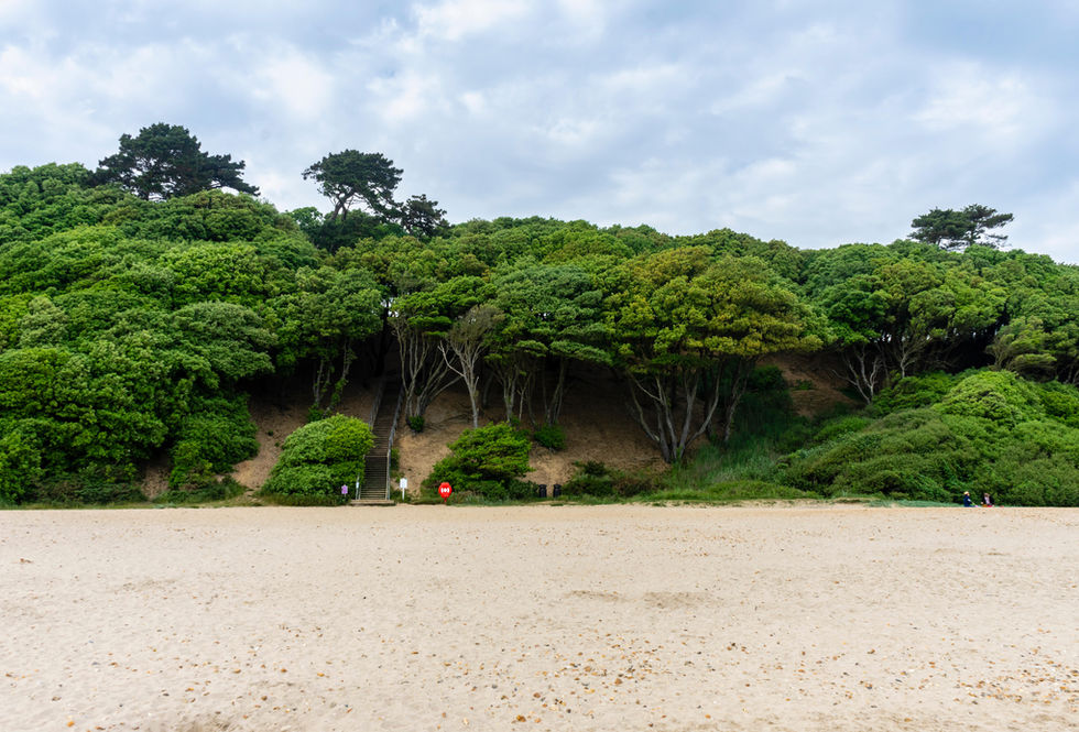 Highcliffe Beach Steps.jpg