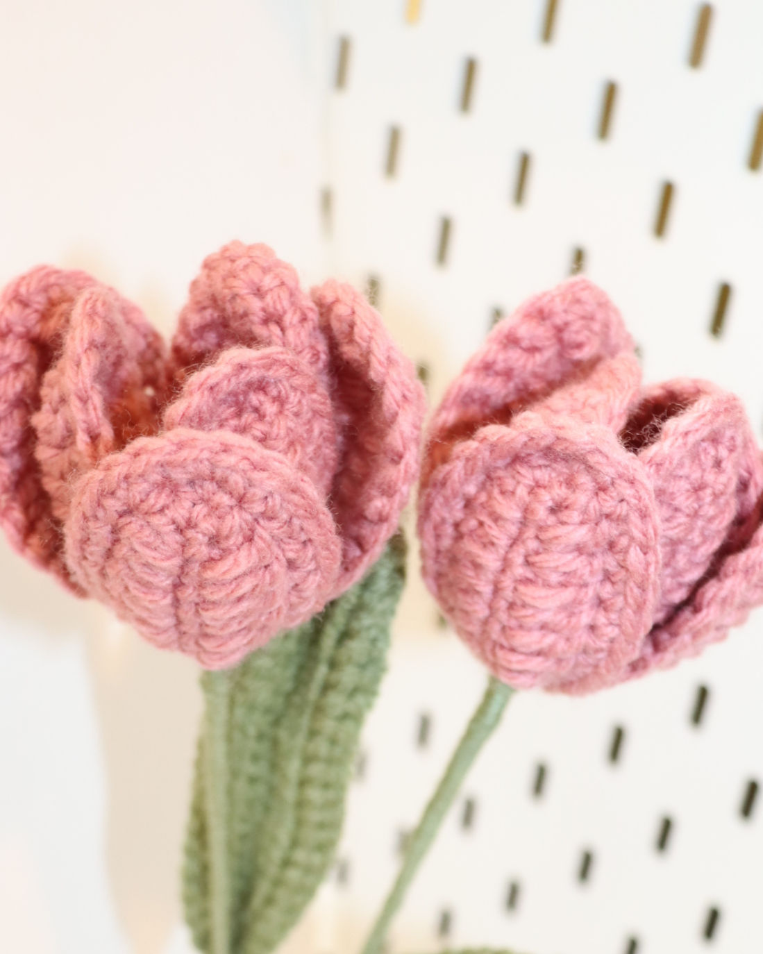 Small rose pink tulip