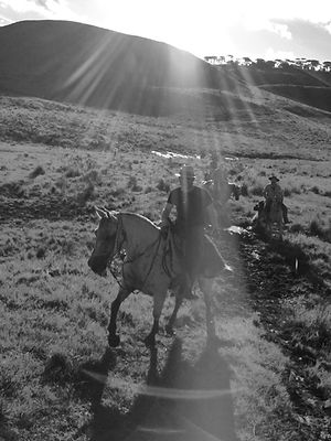 IMG_1462.JPEG
