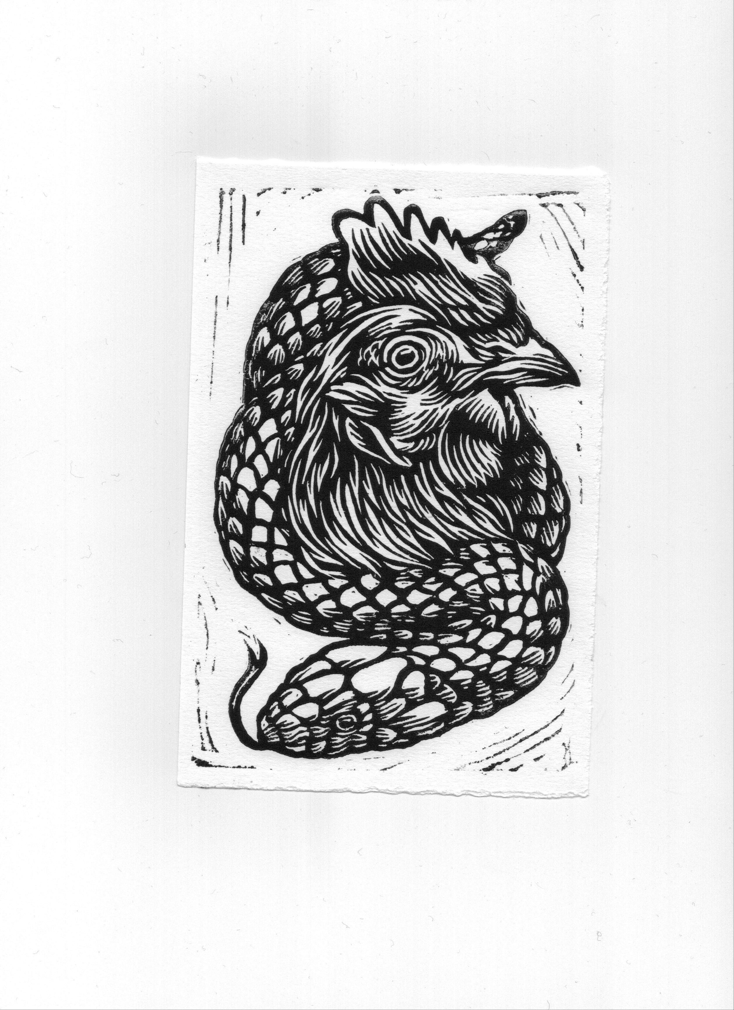 GalloSerpe, LUCAMALEONTE