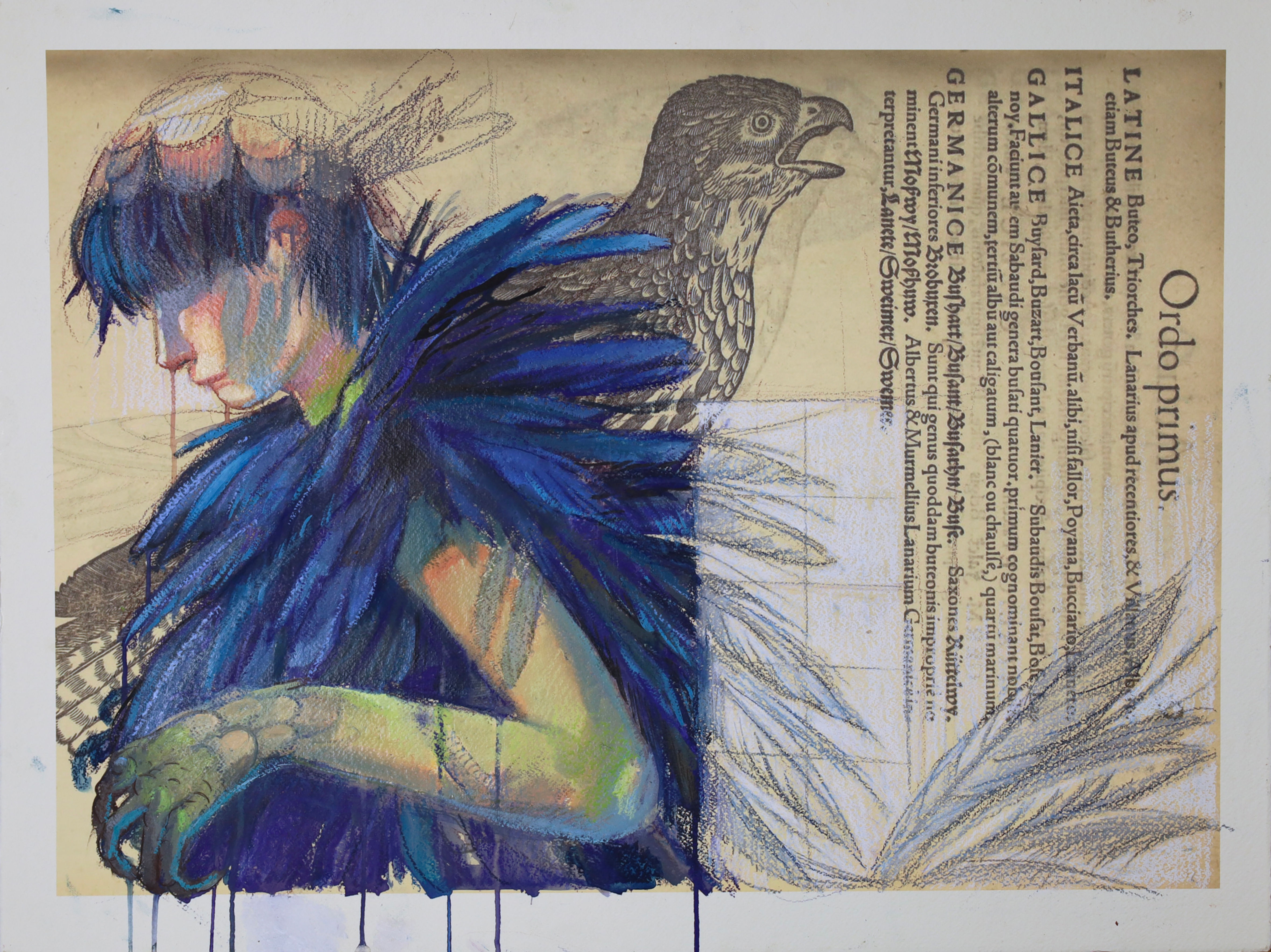 ALESSANDRA CARLONI - Un’anima rapace