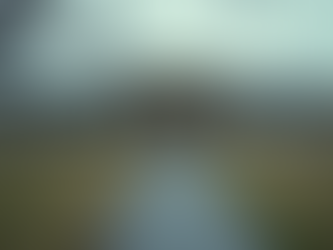 Understanding Local Resources for Mental Health Care