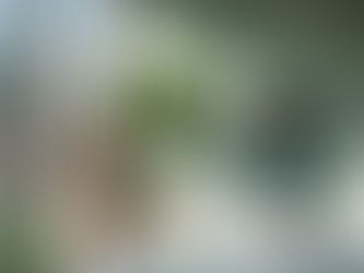 Strengthening Relationships Through Therapy