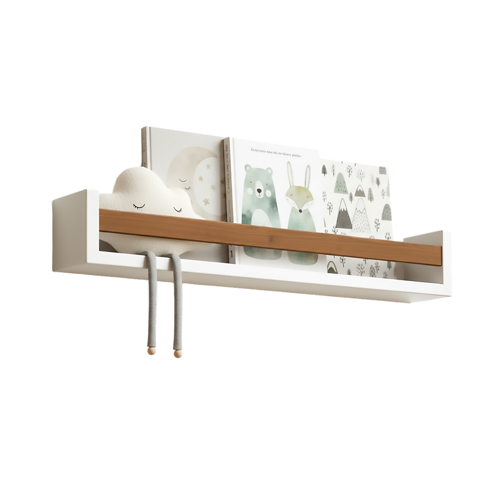 prateleira organize para livros