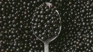 ELDERBERRY SYRUP