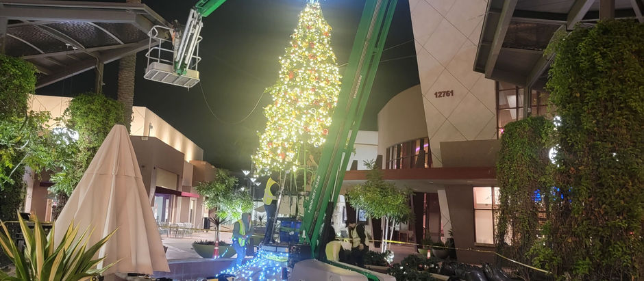 Embracing the Holiday Magic