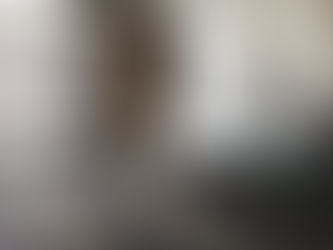 「IoT振動解析技術研究会 第6回研究会」に登壇しました