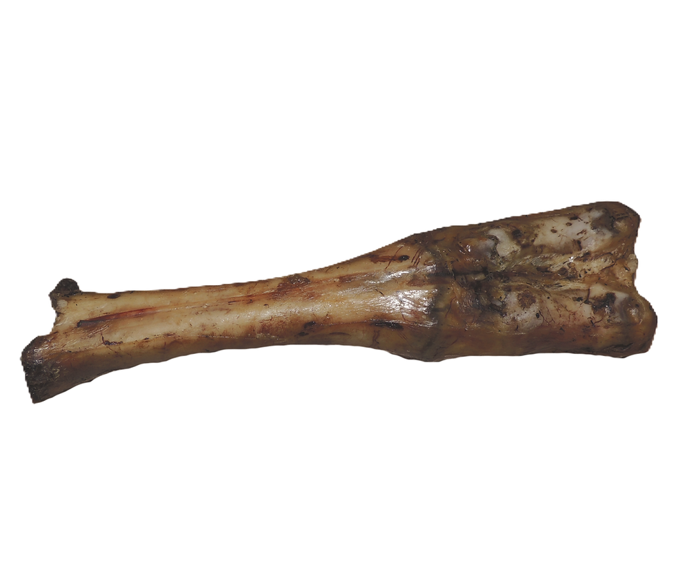 Miniature : Os de Bœuf