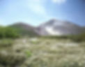 硫黄山つつじ.jpg