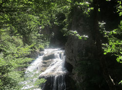 Cascade dans la verdure