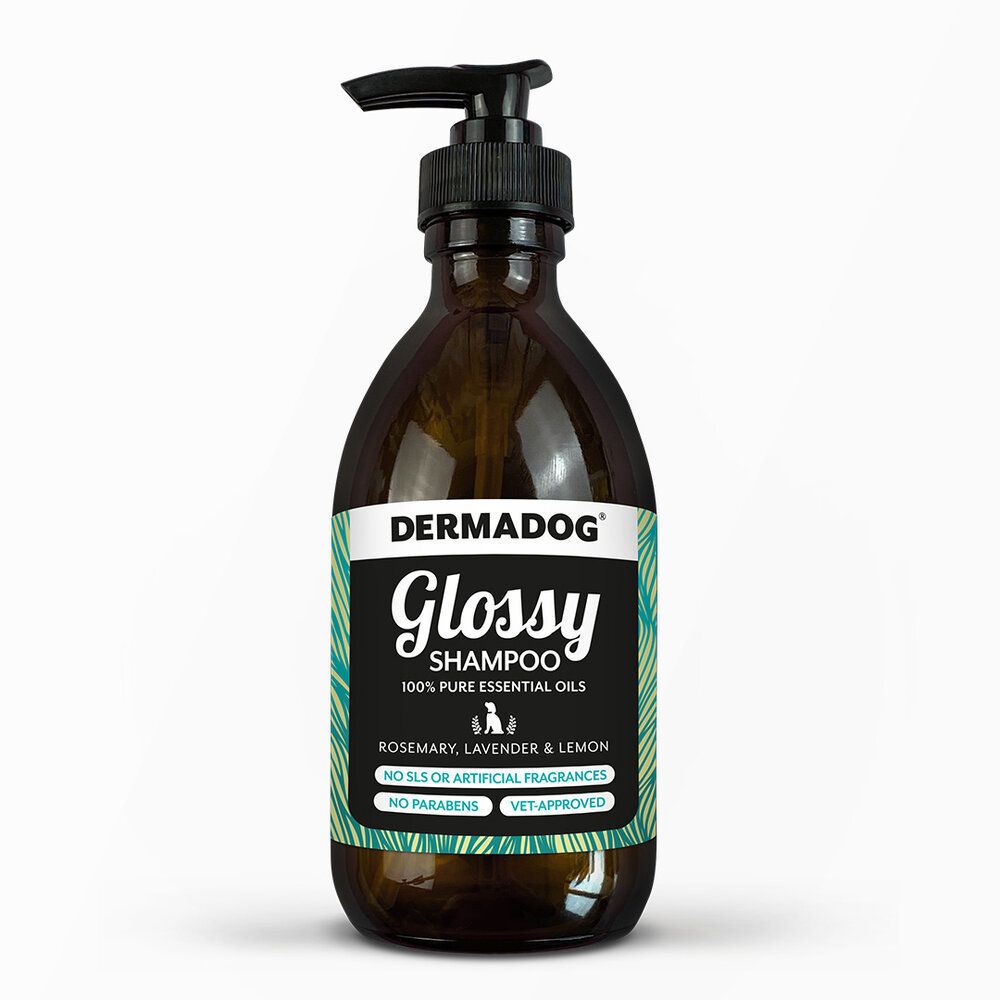 Dermadog Glossy Shampoo