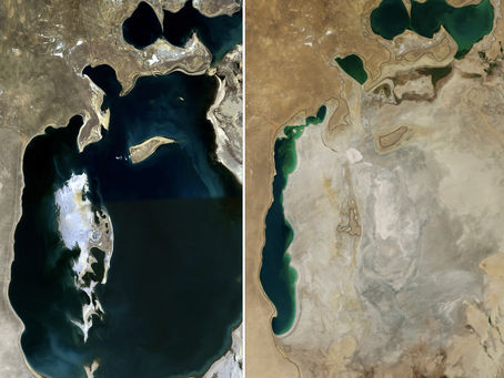 The Global Freshwater Crisis