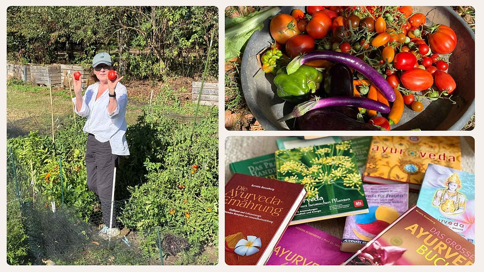 Collage: Lydia Schmelzer-Ofenstein im Gemüsegarten mit Tomaten, Schüssel voller bunter Ernte wie Tomaten und Auberginen und mehrere Ayurveda-Bücher im Sonnenlicht.