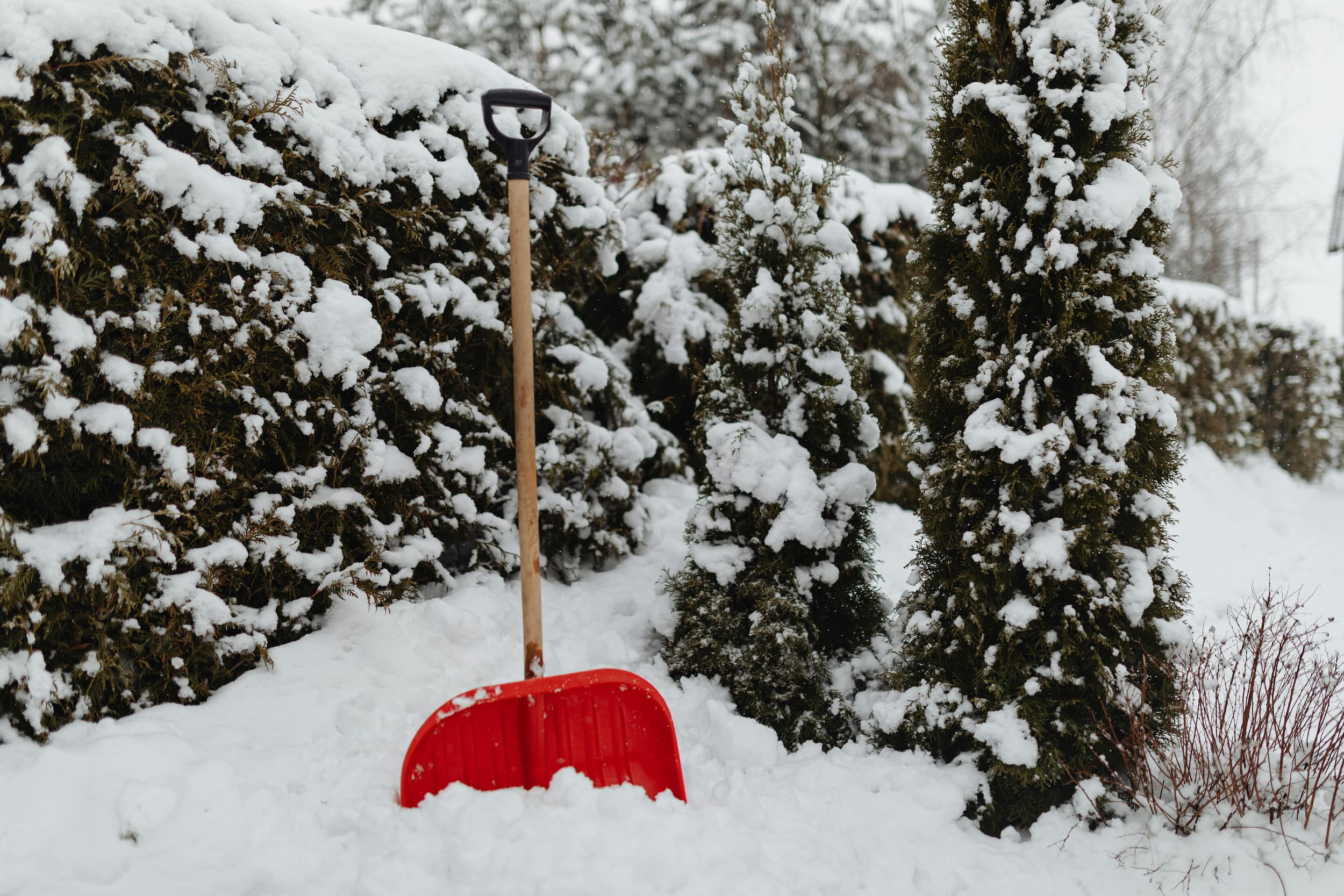 Cleared driveway after snow removal service in Williamson County