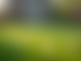 Essential Spring Lawn Care Tips for Homeowners in Franklin and Brentwood, TN