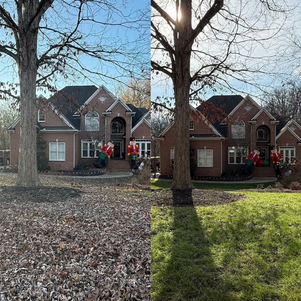 Before and after fall leaf cleanup on a Tennessee lawn