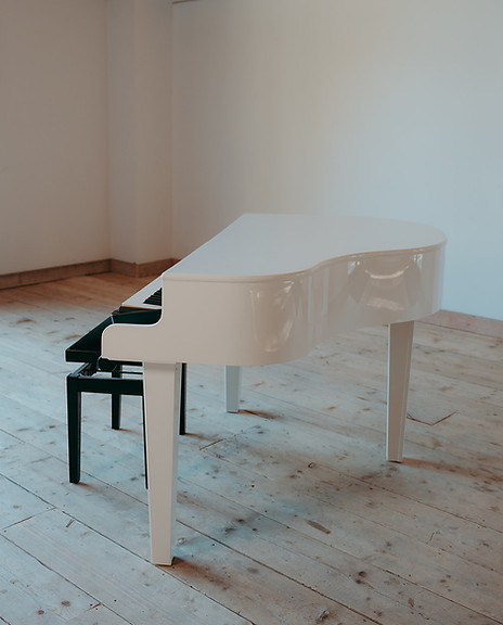 Professional piano player for wedding