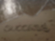 success.jpeg