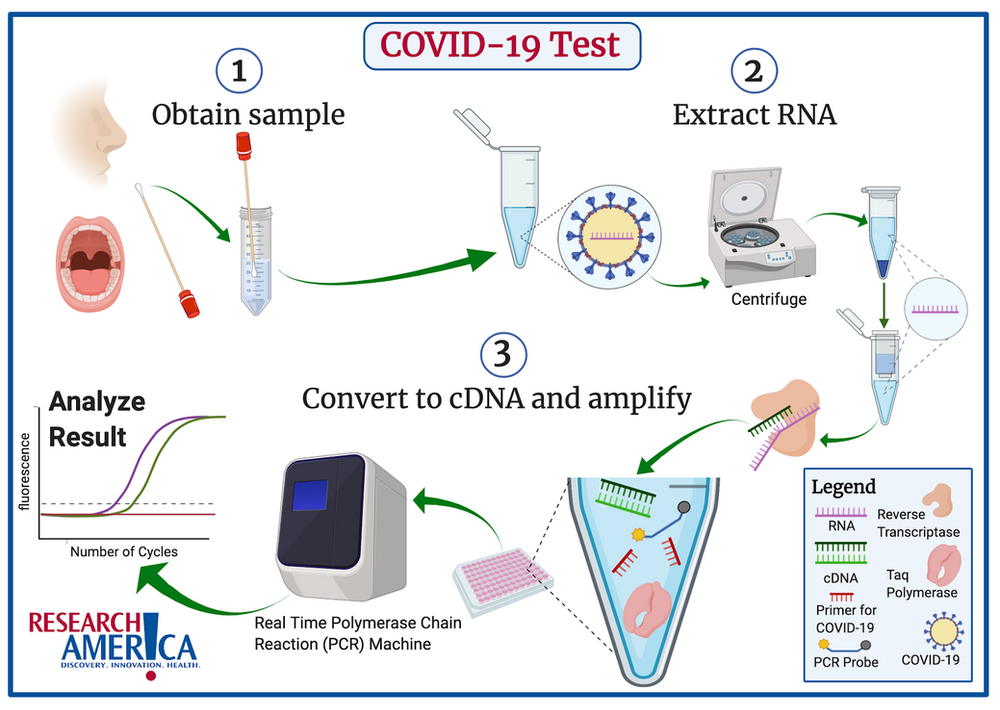 D-PCR-DY-23 Fragen&Antworten