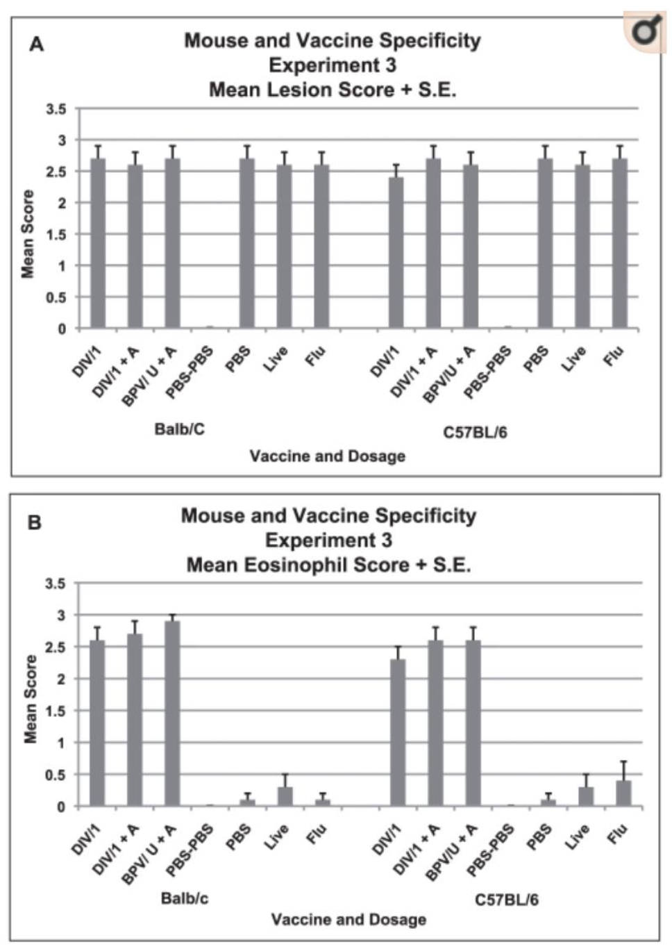 Serum neutralizing (neut) antibody and lung virus titers for each vaccine dosage group. A. Geometric mean serum antibody titer and standard error of the mean (S.E.) on day 56 for each vaccine dosage group for each mouse strain (Balb/c or C57BL/6). Five mice per group given 0.1 ml of vaccine intramuscularly on days 0 and 28. B. Geometric mean virus titer (log10 TCID50/g) and standard error of the mean (S.E.) in lungs on day 58 (two days after SARS-CoV challenge for each vaccine dosage group for each mouse strain. Seven to eight mice per group. Vaccines: Double inactivated whole virus, (DIV), β propiolactone inactivated whole virus (BPV), with alum (+A). Analyses: A. GMT for highest DIV dosage without alum greater for Balb/c than C57BL/6 p = .008 but not for alum p>.05. GMT for the BPV vaccine and live virus were not different for the two strains p>.05. B. GMT for PBS control mice were not different p>.05. GMT for DIV without alum and BPV with alum greater for C57BL/6 than Balb/c p = .004.