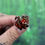 Thumbnail: Red Panda Dragon Pin