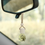 Thumbnail: Beachwood Car Oil Diffuser