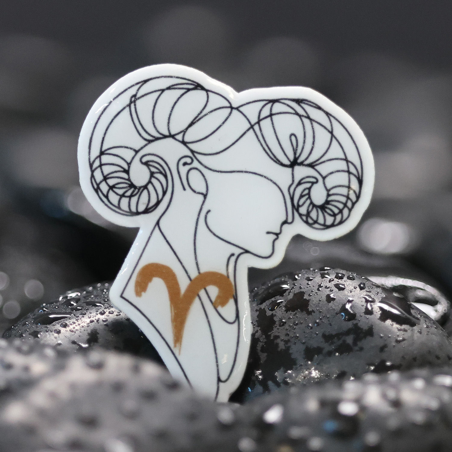 Zodiac Pin - Aries