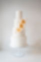 016-HR Victoria James Cake Design©Laura Hinski Photography-240515.jpg