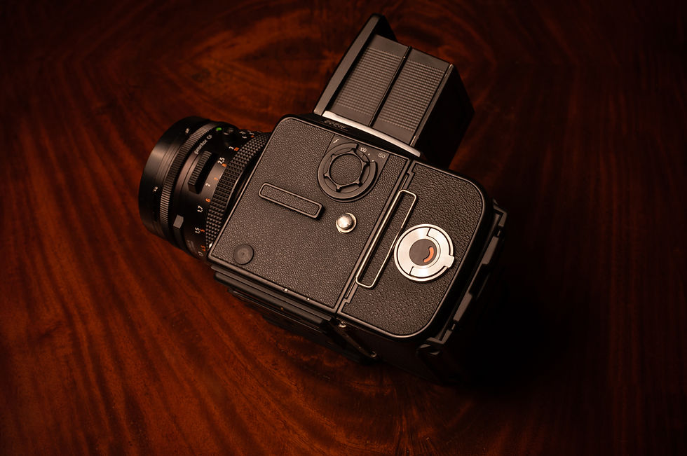 Hasseblad 503CW + CF80mm f/2.8