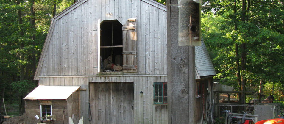 Raven's Place on the Farm