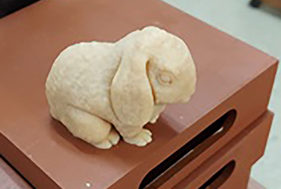 This is a Lop eared rabbit soap
