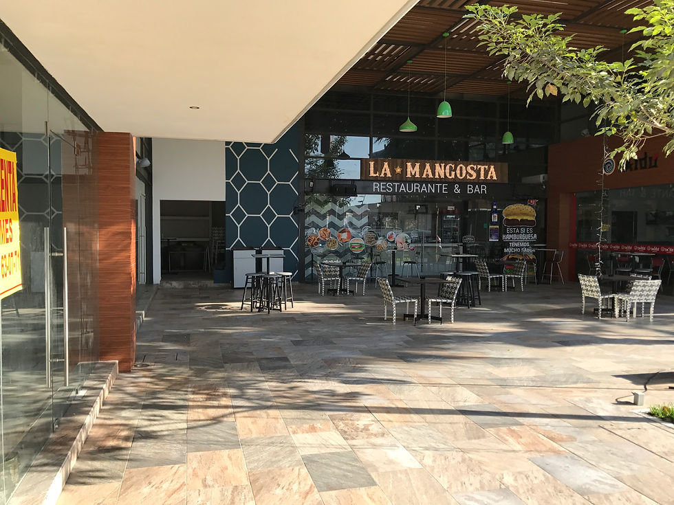 Miniatura: SE RENTA LOCAL COMERCIAL EN PLAZA VIA, CULIACÁN, SINALOA.