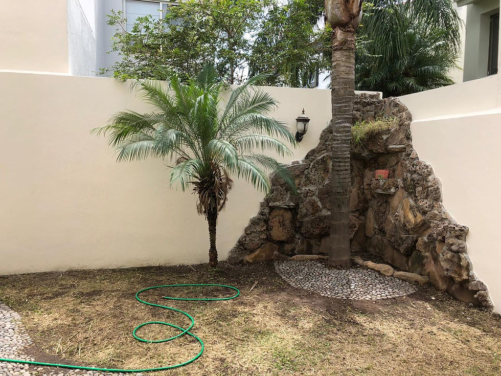 Miniatura: Se renta casa en Fracc. Jardín Real, Zapopan, Jalisco