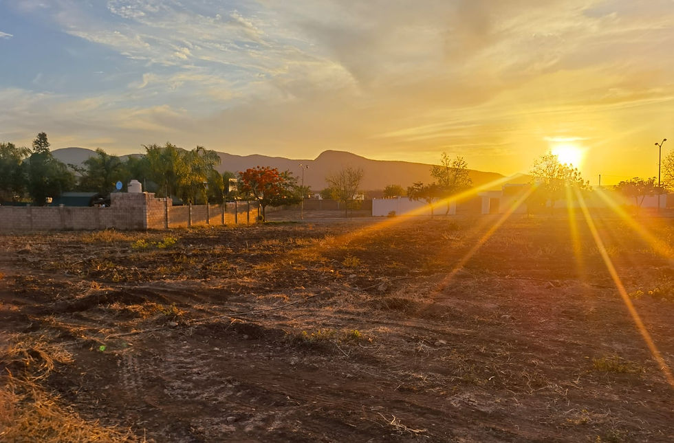 Miniatura: Se vende lote terreno Campestre El Toro, Culiacán,Sinaloa