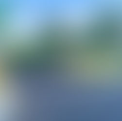 residential entry gate