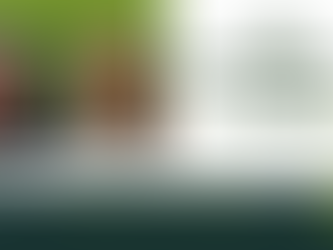 Kröfur UU til íslenskra stjórnvalda í aðdraganda COP28