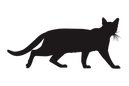 vecteezy_cat-silhouette-on-transparent-background_23629882.png
