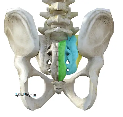 Sacral Insufficiency fracture zones