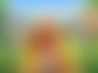 Why Seeing a Private Physio Who Is Also a First Contact Practitioner Can Be a Better First Step Than Seeing a GP