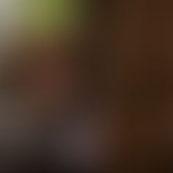 The Hollywood Times: Interview with Country Rocker Will Wesley