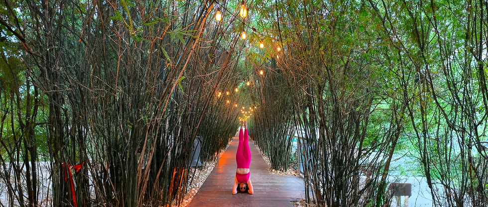 Nath Yoga comp.jpg