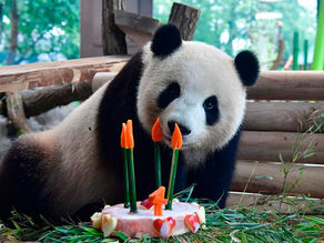 It Is Really F***king Hard To Get To China