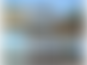 Lake Meade Park and Other Parks at a Standstill: The GO Bond Disaster the City Manager Can’t Escape!