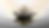 Red and White Clean Gardener YouTube Banner (4).png