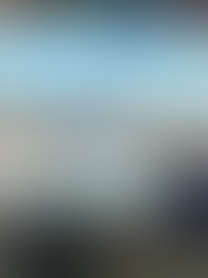 LAÇO, PERFORMANCE E BRANDING: O QUE O POTRO DO FUTURO DA ANLC REVELA SOBRE O AGRO DE ALTO PADRÃO