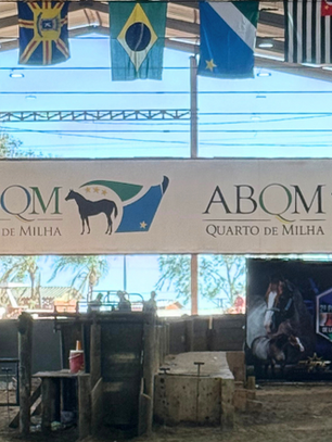 LAÇO, PERFORMANCE E BRANDING: O QUE O POTRO DO FUTURO DA ANLC REVELA SOBRE O AGRO DE ALTO PADRÃO