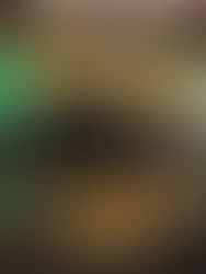 O QUE APRENDER COM A GUCCI?