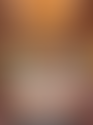 CAFÉ DO POETA POR DOUGLAS RALDI — CASACOR MS 2025